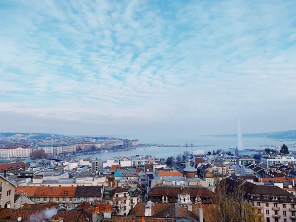 Les meilleures solutions pour un système d'arrosage économe en eau pour jardins verticaux