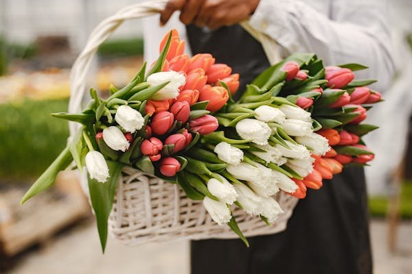 Livraison de fleurs pas cher : bouquets à partir de 28 € !